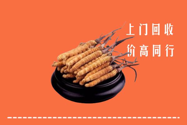 高价求购：济南市济阳区回收散虫草