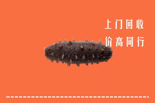 济南市济阳区回收海参